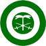 Roundel of Saudi Arabia air force
