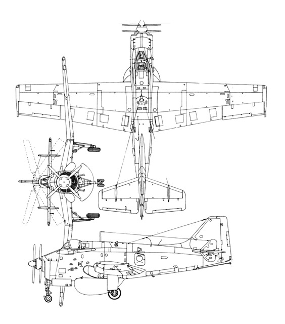 3-view profile of Gannet