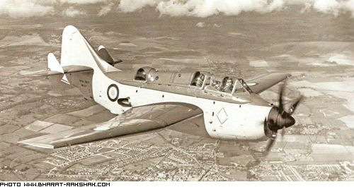 Photo of Gannet