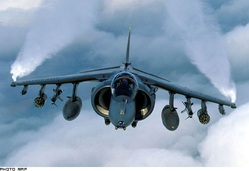 Photo of Harrier