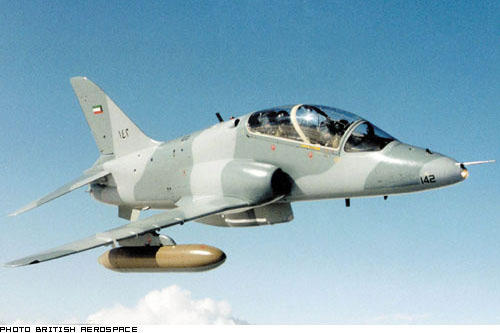 Picture of Hawk