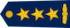 Kolonel insignia