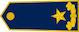 Gjeneral brigade insignia