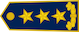 Gjeneral lejtant insignia