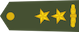 Nënkolonel insignia