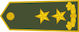 Gjeneral major insignia