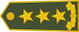 Gjeneral lejtant insignia