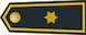 Brigadegeneraal / Général de Brigade insignia