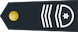 Adjudant-chef / Adjudant-chef insignia