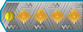 Генерал General insignia