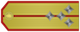 Капитан Kapitan insignia