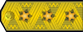 Вицеадмирал Vitseadmiral insignia