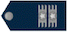 Coronel insignia