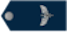 Cadete insignia
