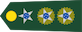 Tenente-coronel insignia