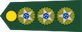 Coronel insignia