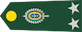 General de brigada insignia