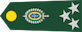 General de divisão insignia