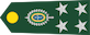 General de exército insignia