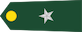 Aspirante a oficial insignia