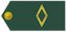 Subtenente insignia
