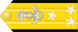 Vice-almirante insignia