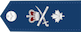 Brigadier-general / Brigadier-général insignia