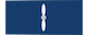 Aviator (trained) / Aviateur (formé) insignia