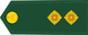Lieutenant / Lieutenant insignia