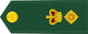 Lieutenant-colonel / Lieutenant-colonel insignia