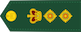 Colonel / Colonel insignia