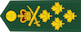 General / Général insignia