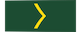 Private / Soldat insignia