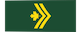 Master corporal / Caporal-chef insignia