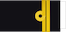 Lieutenant (N) / Lieutenant de vaisseau insignia