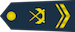 空军上士 Kōngjūn shang shi insignia