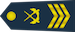 空军二级军士长 Kōngjūn er ji jun shi zhang insignia