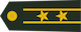 中校 Zhong xiao insignia