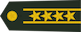 大校 Da xiao insignia