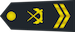 海军四级军士长 Hǎijūn si ji jun shi zhang insignia