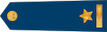 Major insignia