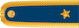 Brigádní generál insignia