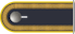 Fahnen­junker insignia