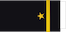 Leutnant zur See insignia