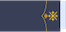 Capitán general insignia