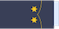 Teniente insignia