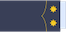 Teniente coronel insignia