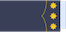Coronel insignia