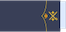 General de división insignia