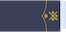Teniente general insignia
